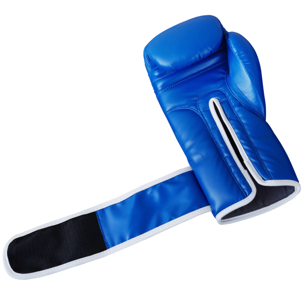 BOXER RING Professional Boxing Gloves