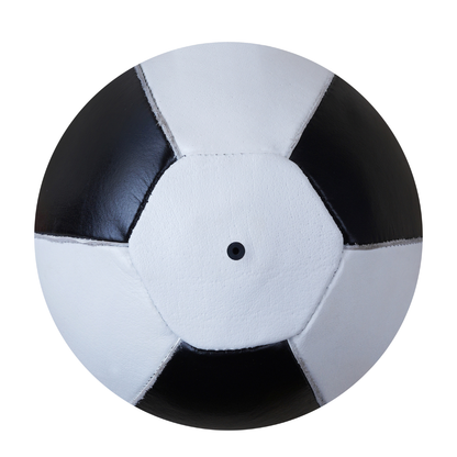 Boxing Gloves And Punching Bag